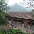 狼兒村 狼兒村