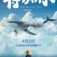 特別的你(2024年翁羽執導的紀錄片) 特別的你(2024年翁羽執導的紀錄片)