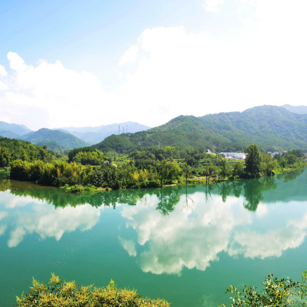 洪墩村 洪墩村