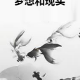 夢想和現實 夢想和現實