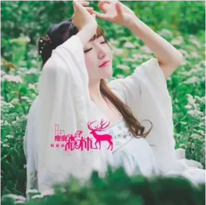 麋鹿森林 麋鹿森林