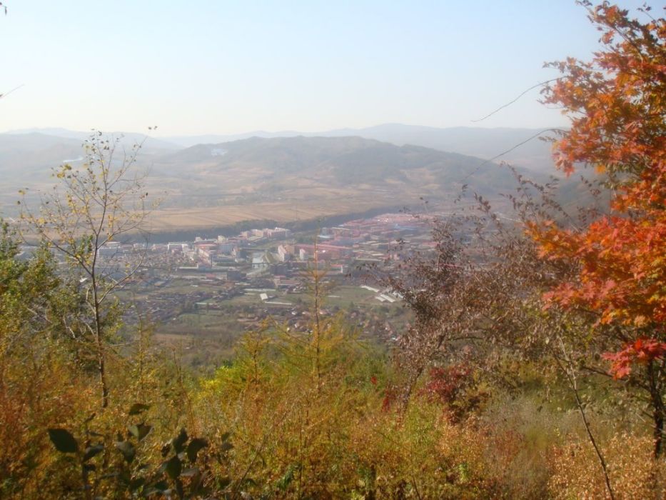三岔子群 三岔子群