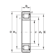 FAG SL183010軸承 FAG SL183010軸承