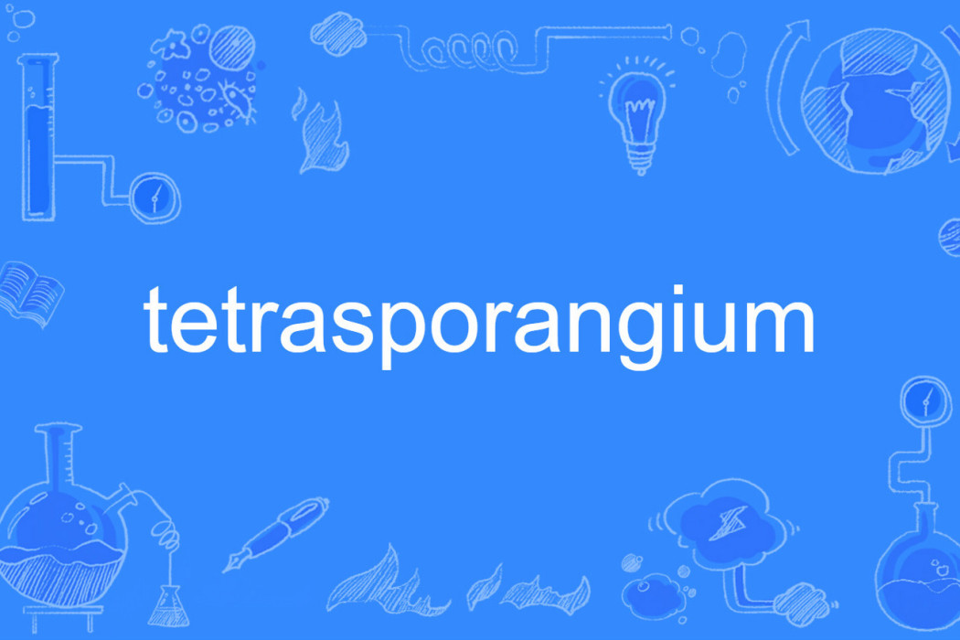 tetrasporangium tetrasporangium