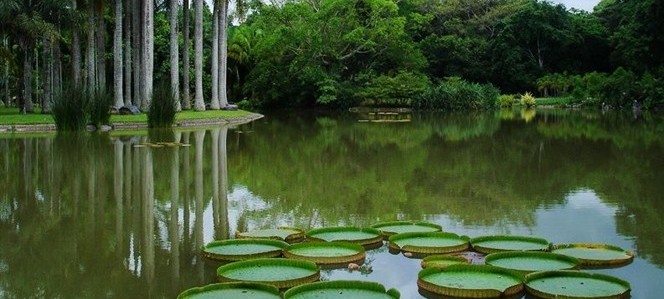 西雙版納熱帶植物園