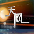 天網(中央電視台“社會與法”頻道節目) 天網(中央電視台“社會與法”頻道節目)