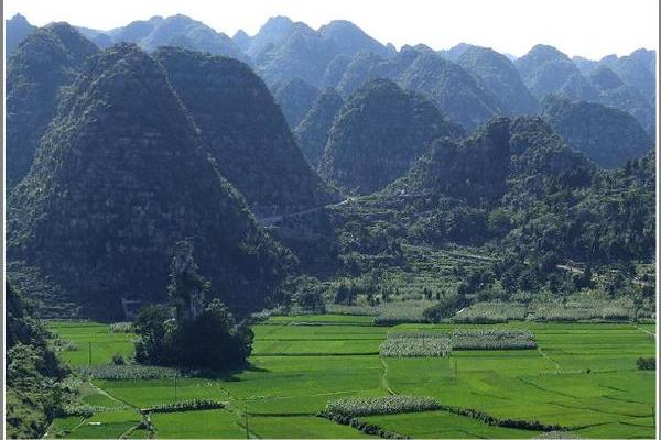 山保村 山保村