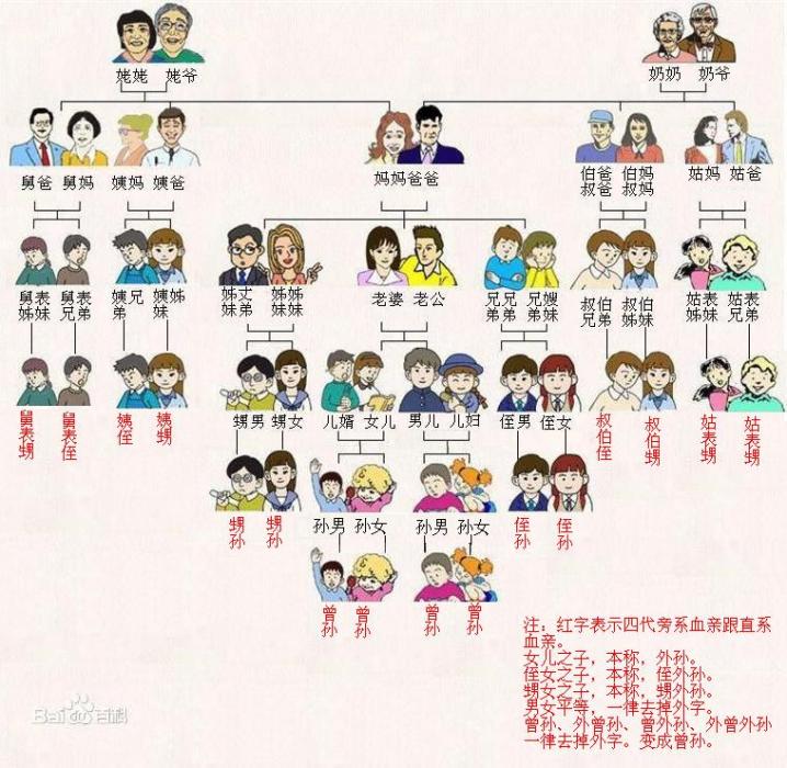 表侄婿 表侄婿