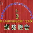 第15屆中國電視劇飛天獎