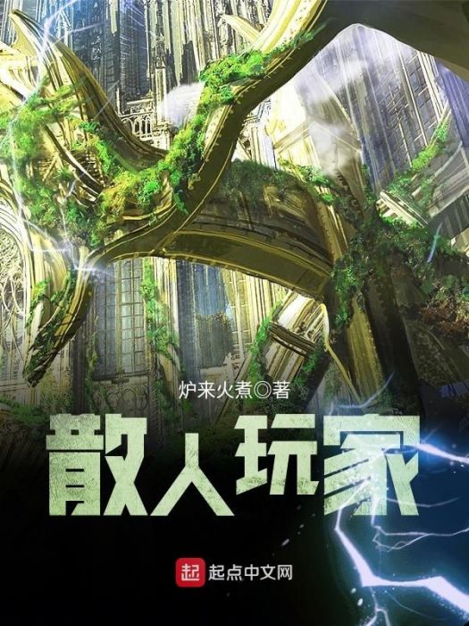 散人玩家 散人玩家