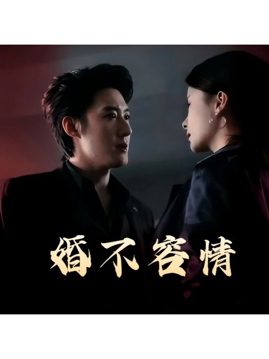 婚不容情(成都濤恩迅科技有限公司製作的短劇)
