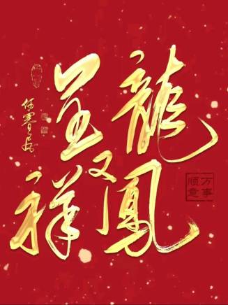 何賽飛