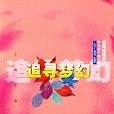 追尋夢幻
