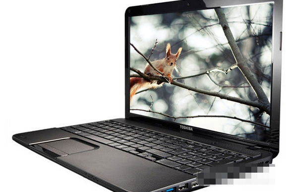 東芝C850D-T11B 東芝C850D-T11B