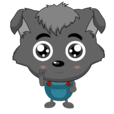 小灰灰 小灰灰