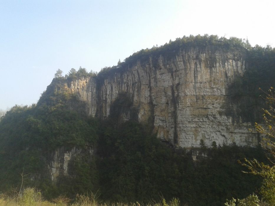 法坭村 法坭村