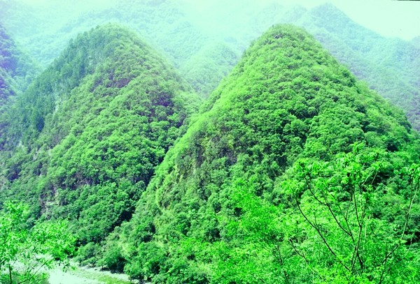 鯉魚峰