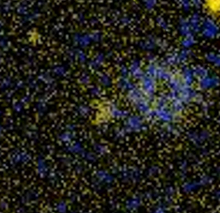 NGC 2398 NGC 2398