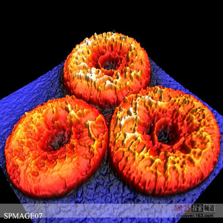 “掃描隧道顯微鏡”下拍攝的“血細胞”