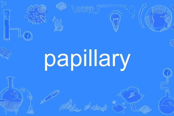 papillary papillary