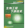 下游技術 下游技術