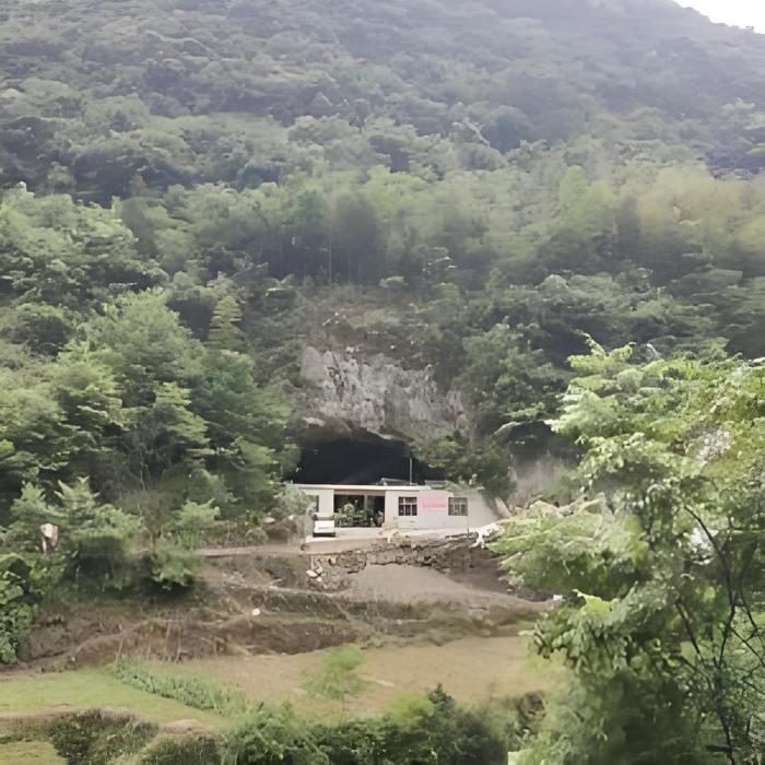 山洞夫妻 山洞夫妻