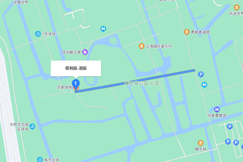梧桐路(上海市梧桐路) 梧桐路(上海市梧桐路)