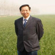 樊小林 樊小林
