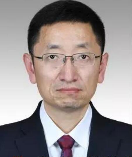 苟燕楠 苟燕楠