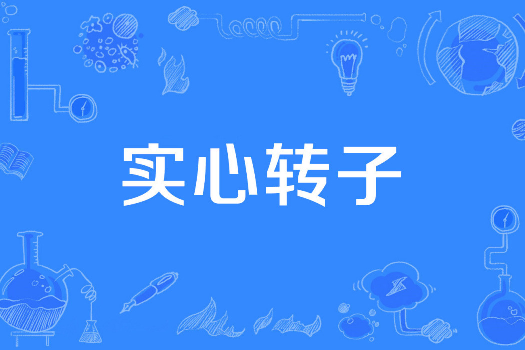 實心轉子 實心轉子