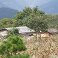 稱桿村(雲南省宣威市務德鎮新華村委會稱桿村) 稱桿村(雲南省宣威市務德鎮新華村委會稱桿村)
