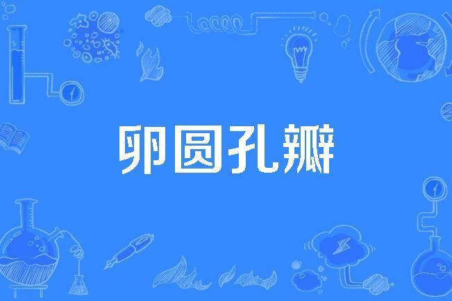 卵圓孔瓣 卵圓孔瓣