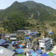 鵜來島 鵜來島