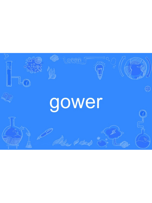 gower gower