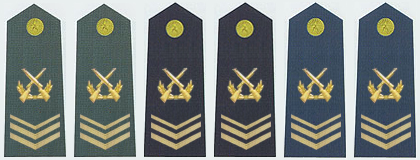 陸海空軍五級士官肩章(2007—2009)