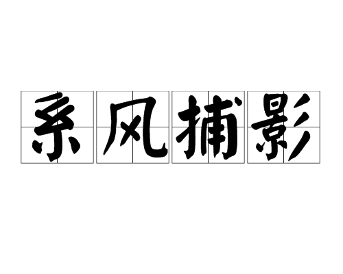 繫風捕影 繫風捕影