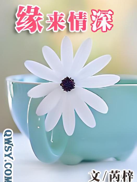 緣來情深 緣來情深