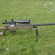 英國李·恩費爾德AWM/P狙擊步槍