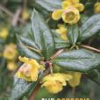 The Berberis of China and Vietnam The Berberis of China and Vietnam