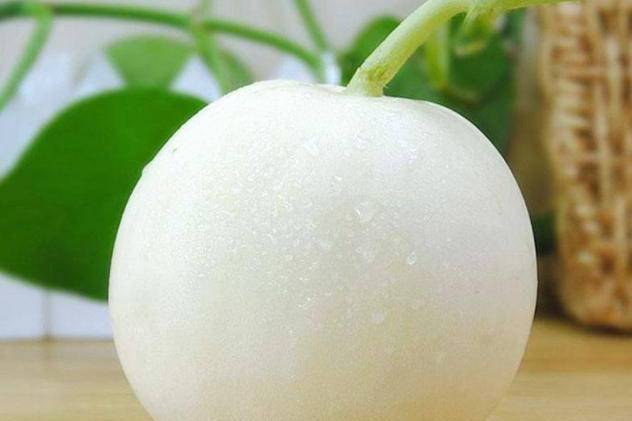 晶瑩雪(葫蘆科黃瓜屬植物) 晶瑩雪(葫蘆科黃瓜屬植物)