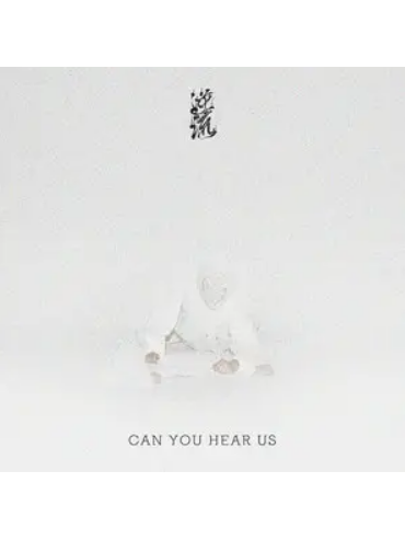 Can You Hear Us Can You Hear Us