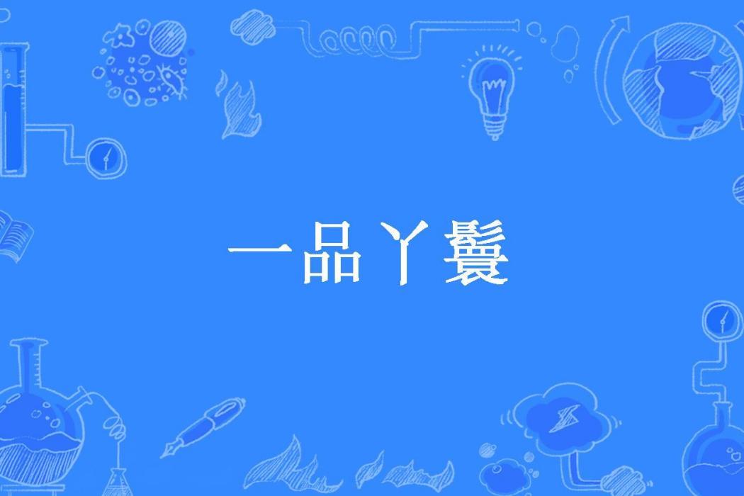 一品丫鬟(芳苓所著小說) 一品丫鬟(芳苓所著小說)