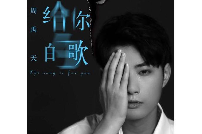 給你的歌(周禹天演唱歌曲)