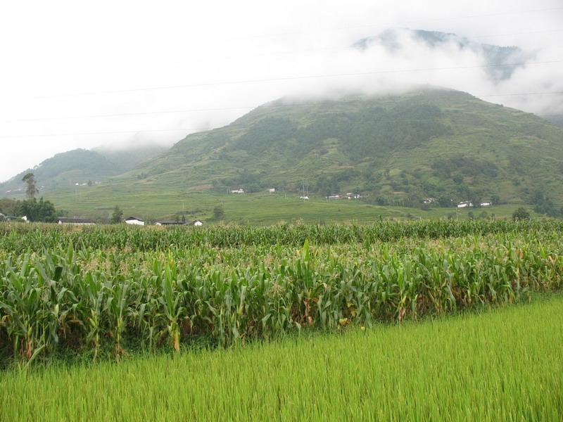 山甸坊村 山甸坊村