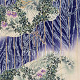 水草花 水草花