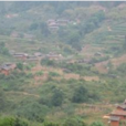 龍河村(湖南省隆回縣三閣司鎮下轄村) 龍河村(湖南省隆回縣三閣司鎮下轄村)
