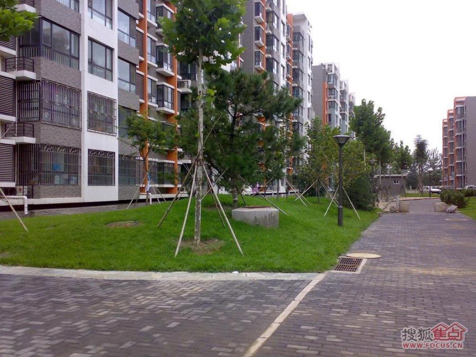 觀林園