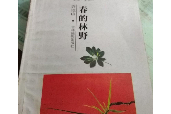 春的林野 春的林野