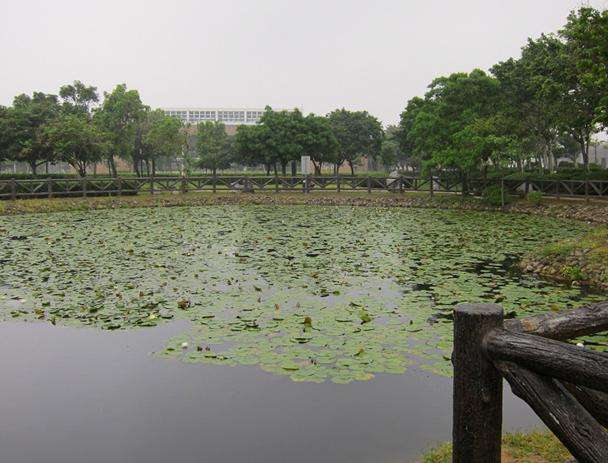 竹南綜合運動公園