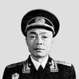 羅舜初 羅舜初